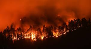 La mortal polución de incendios forestales cobra 52,000 vidas en California en una década